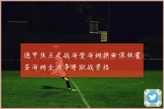 德甲焦点之战海登海姆拼命保级霍芬海姆全力争夺欧战资格